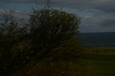 DSC_7253 (Large).JPG